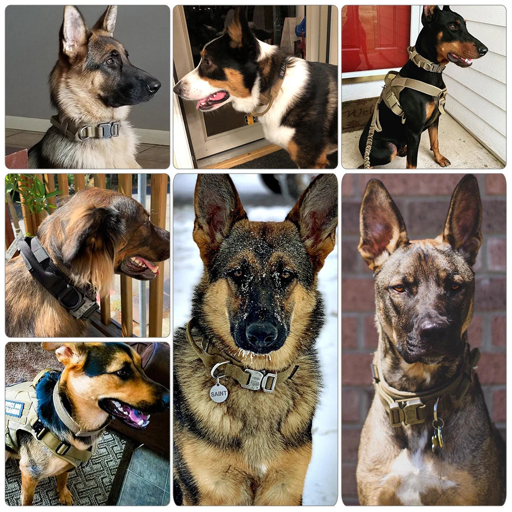 Dog Training Collar, Lead Collar For Small Big Dogs