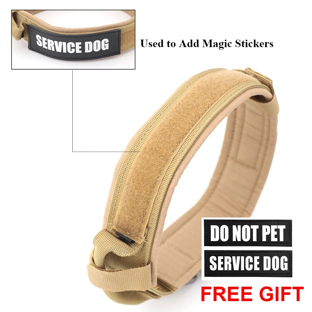 Dog Training Collar, Lead Collar For Small Big Dogs