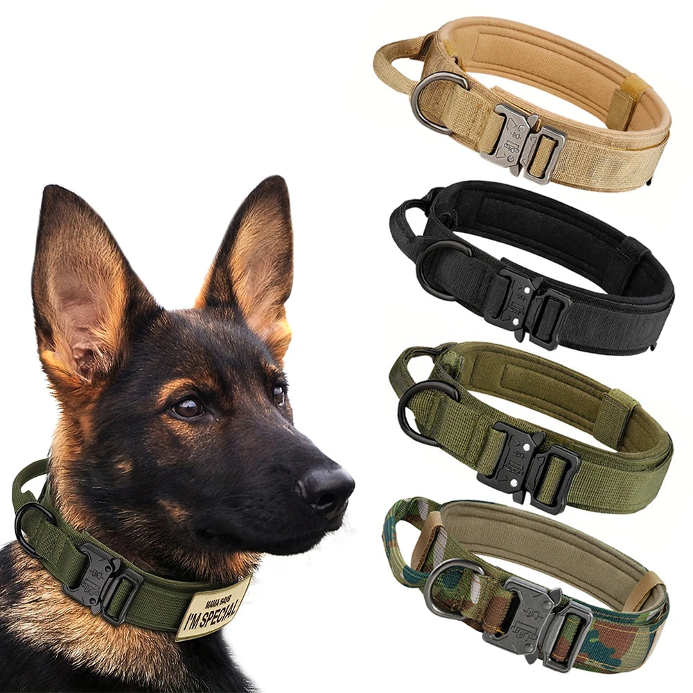 Dog Training Collar, Lead Collar For Small Big Dogs