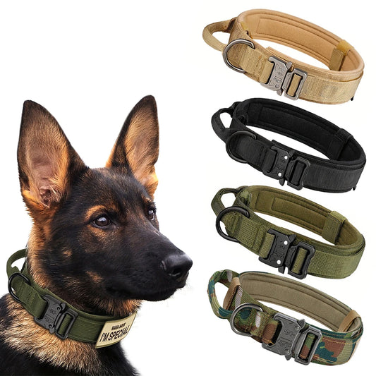Dog Training Collar, Lead Collar For Small Big Dogs