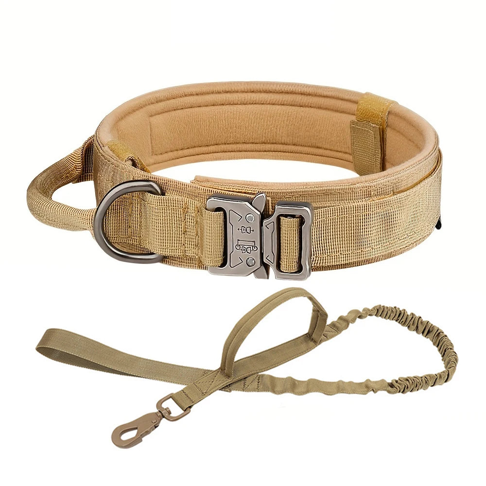 Dog Training Collar, Lead Collar For Small Big Dogs